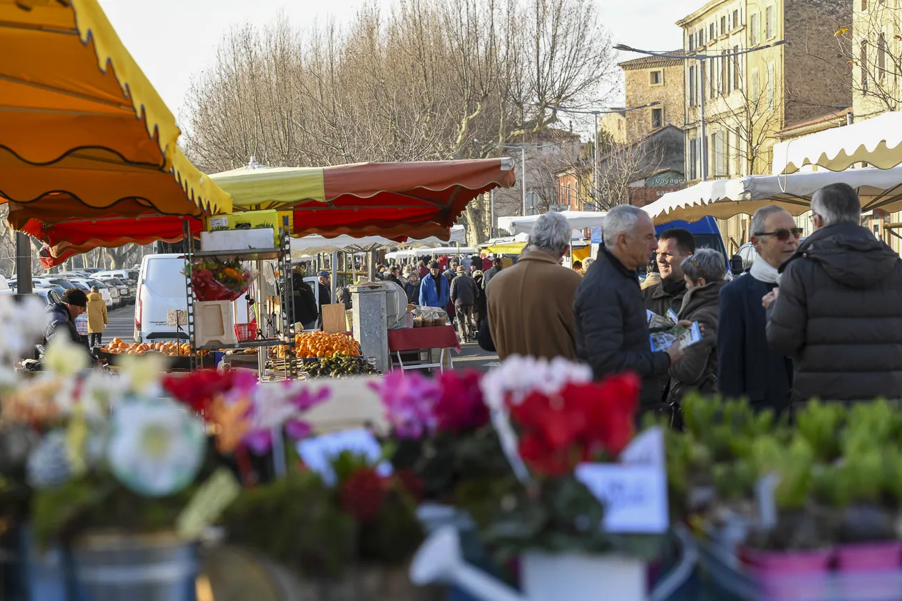 autour-du-mas-du grialou-carpentras-ventoux-dentelles-montmirail-palais-des-papes-avignon-pont-vignoble-randonnee-nature-3