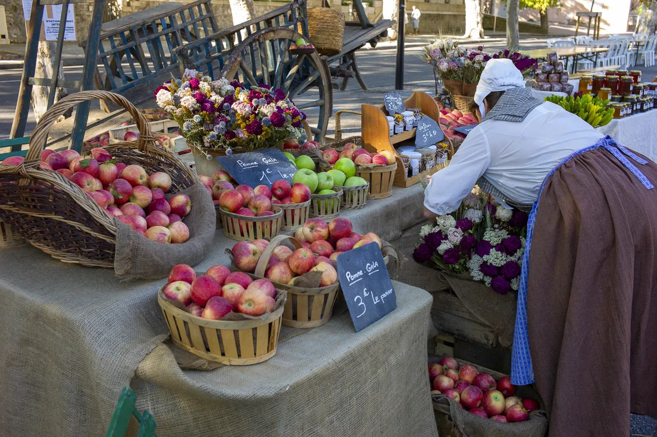 autour-du-mas-du grialou-carpentras-ventoux-dentelles-montmirail-palais-des-papes-avignon-pont-vignoble-randonnee-nature-37