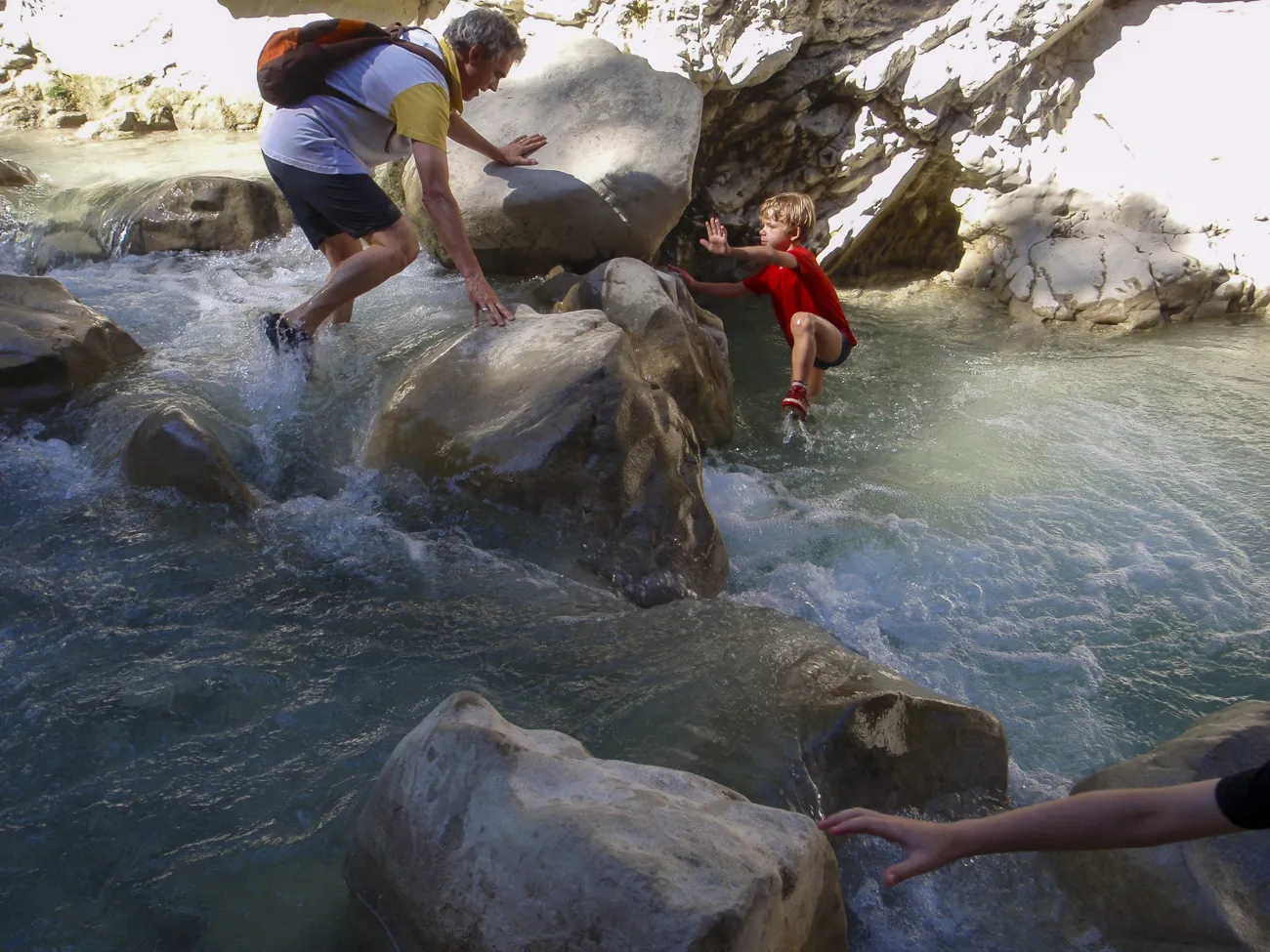 autour-du-mas-du grialou-carpentras-ventoux-dentelles-montmirail-palais-des-papes-avignon-pont-vignoble-randonnee-nature-51